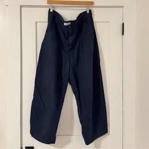Everlane The Everywhere Pant in Navy